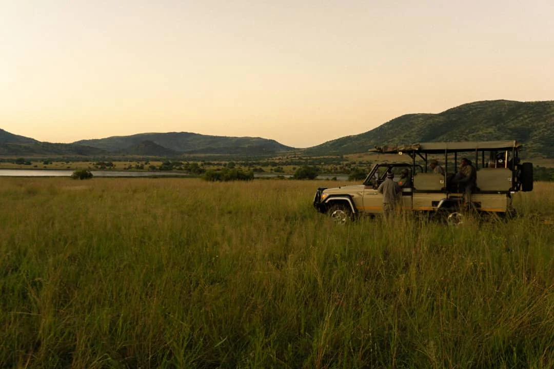 Guests stopping during a Serengeti National Park game drive to observe wildlife on a 19-day East Africa tour featuring gorilla trekking, the Big Five, and cultural experiences.