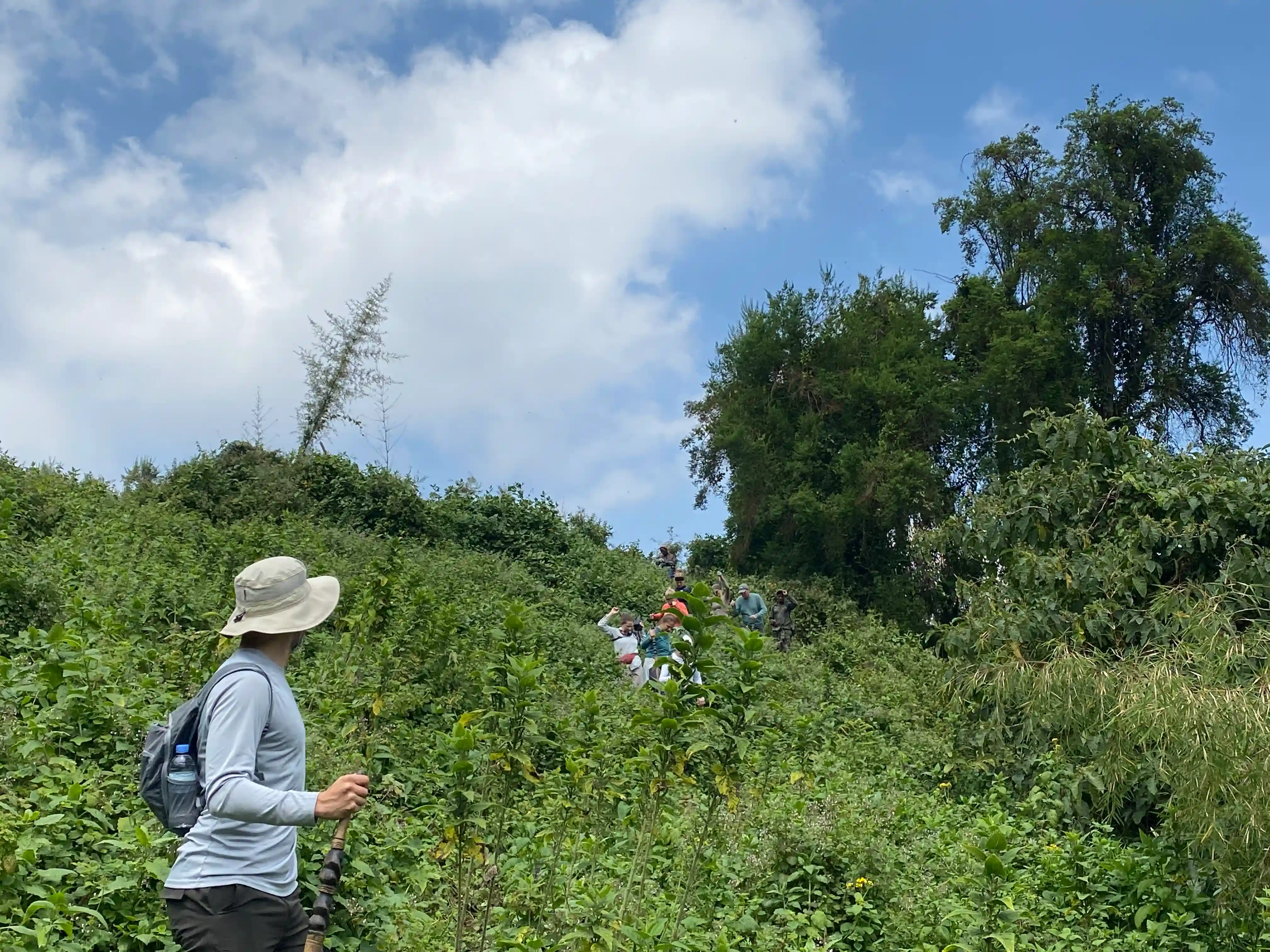 Safari de trekking de gorilas en Bwindi con nuestros huéspedes