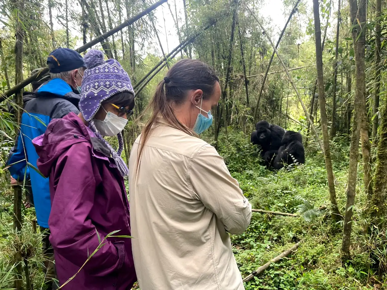 Gäste beim Gorilla-Trekking-Erlebnis im Volcanoes-Nationalpark von Ruanda