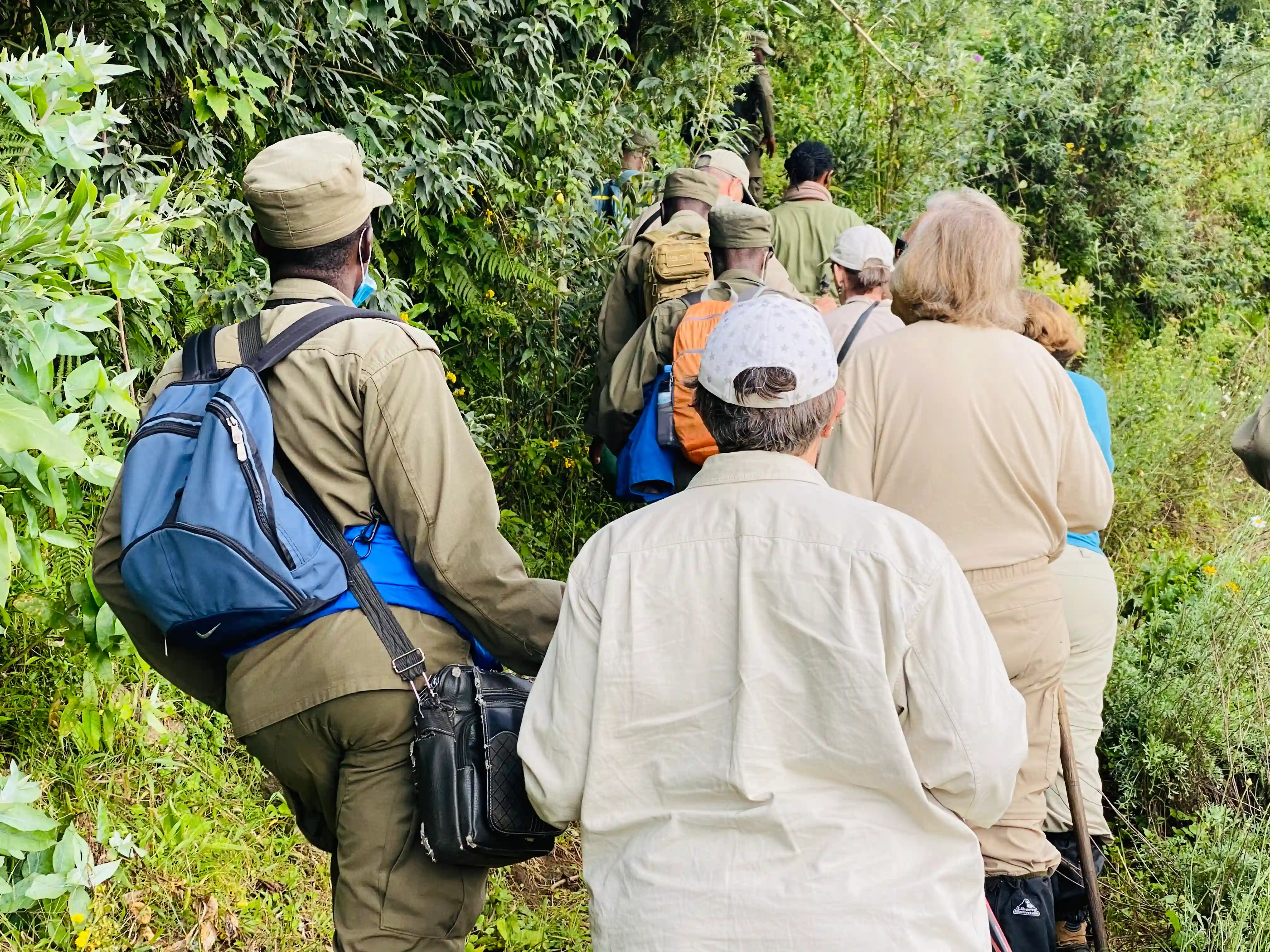 A group of guests trekking gorillas in Uganda