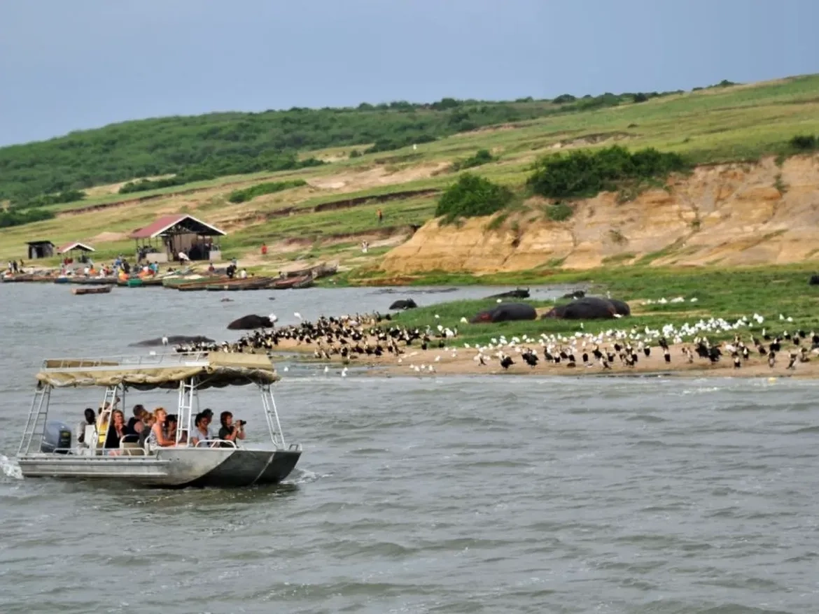 Croisière en bateau le long du canal de Kazinga pour un safari animalier