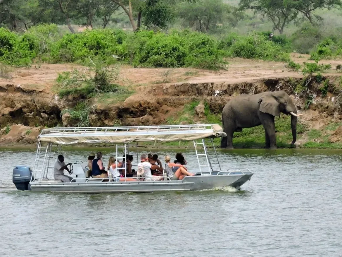 Guests enjoying a Kazinga Channel boat safari in Queen Elizabeth National Park, Uganda, spotting hippos, crocodiles, buffaloes, and elephants during the 6 Day Classic Ishasha Boat Safari & Chimp Tracking tour.