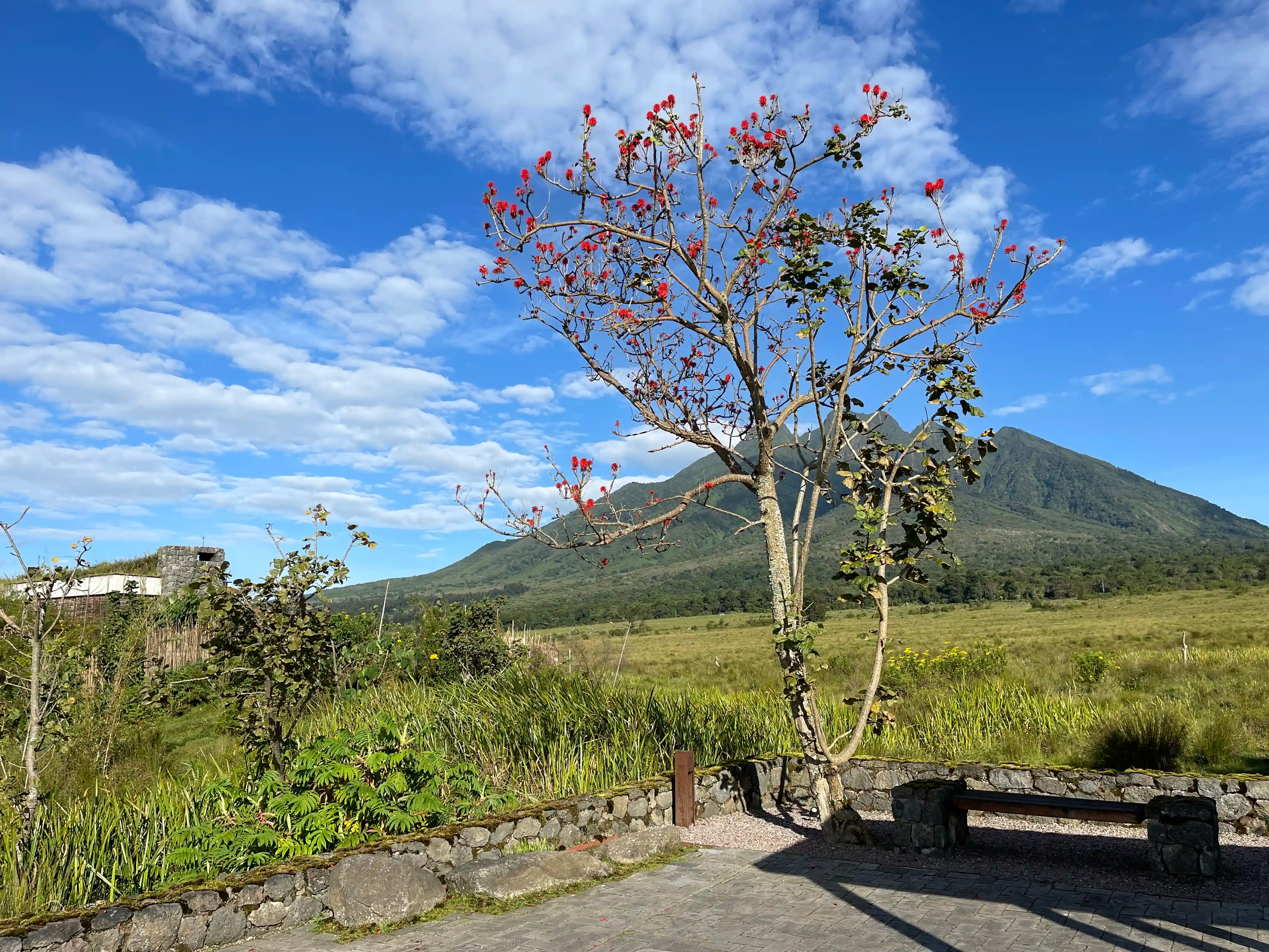 Rwanda Volcanoes National Park