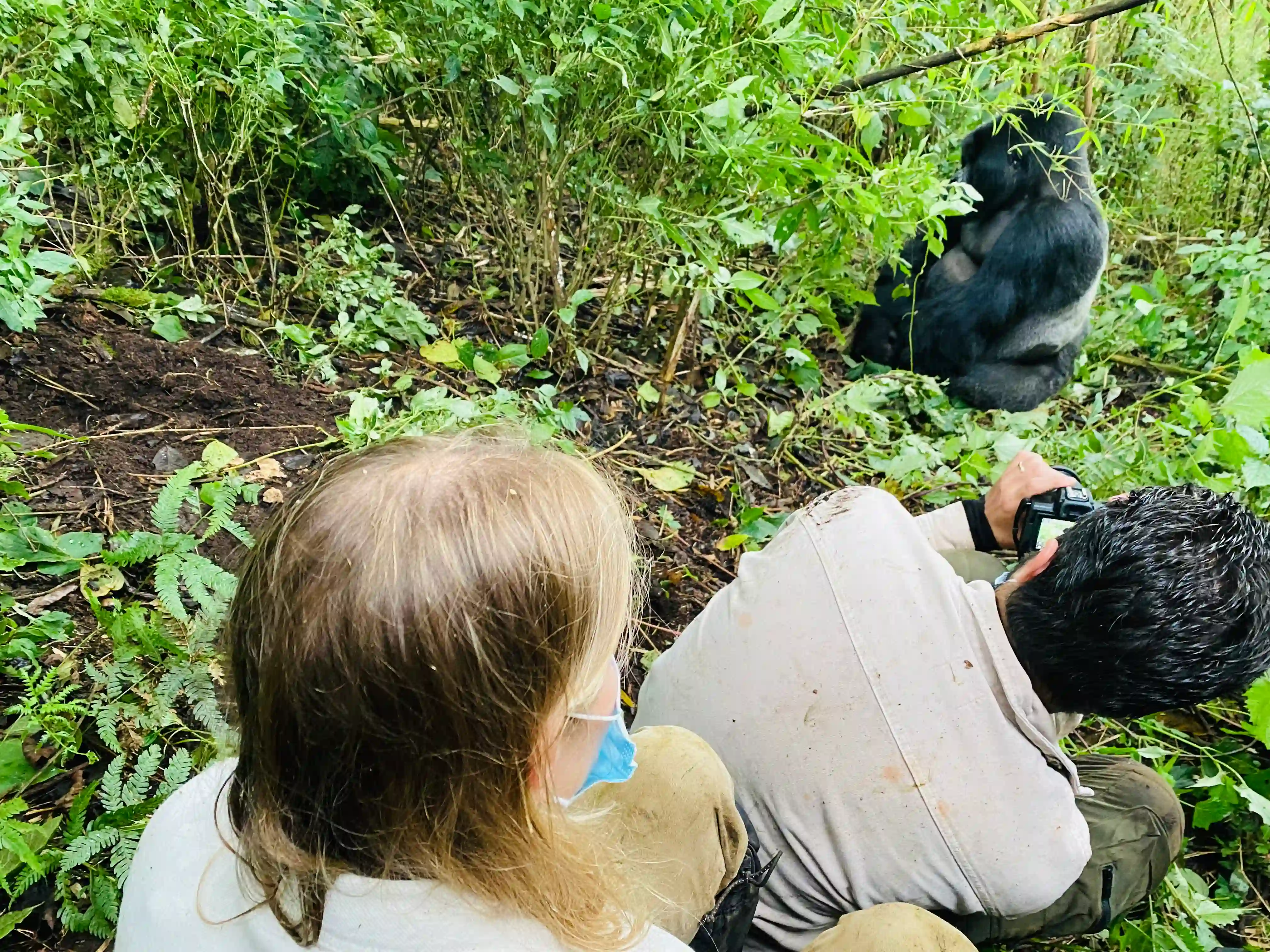 3 days gorilla trekking safari from Europe