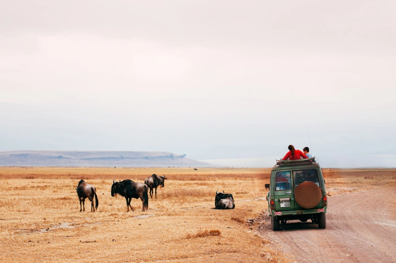 Group of adventurous women on a Serengeti National Park safari game drive, spotting wildlife and enjoying nature in Tanzania.