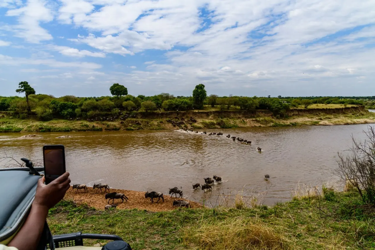 Wildebeest migration crossing the Serengeti River in Serengeti National Park, Tanzania – one of Africa’s greatest wildlife spectacles.